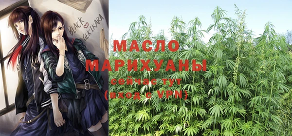 мяу мяу мука Елабуга